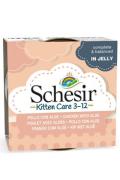 Schesir Cat konz. Kitten kuře/aloe v žel&eacute; 85g