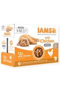 Iams Cat Kitten Delights kapsa Chicken in gravy 12x85g