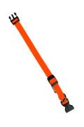 Obojek nylon CLUB C 56cmx20mm oranžov&yacute; FP 1ks