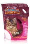 Podest&yacute;lka Catwill Economical pack 4,3kg/10l