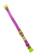 Obojek nylon CLUB C 56cmx20mm světle fialov&yacute;  FP 1ks