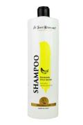 San Bernard &Scaron;ampon ban&aacute;nov&yacute; 1000ml