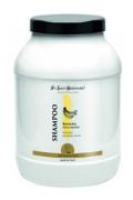 San Bernard &Scaron;ampon ban&aacute;nov&yacute; 3000ml