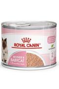 Royal Canin Feline Babycat konz 195g
