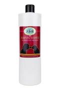 San Bernard &Scaron;ampon Čist&iacute;c&iacute; 1000ml