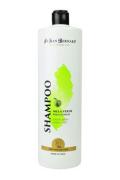 San Bernard &Scaron;ampon Zelen&eacute; jablko 1000ml