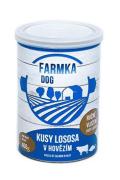 FALCO FARMKA DOG s lososem 400g